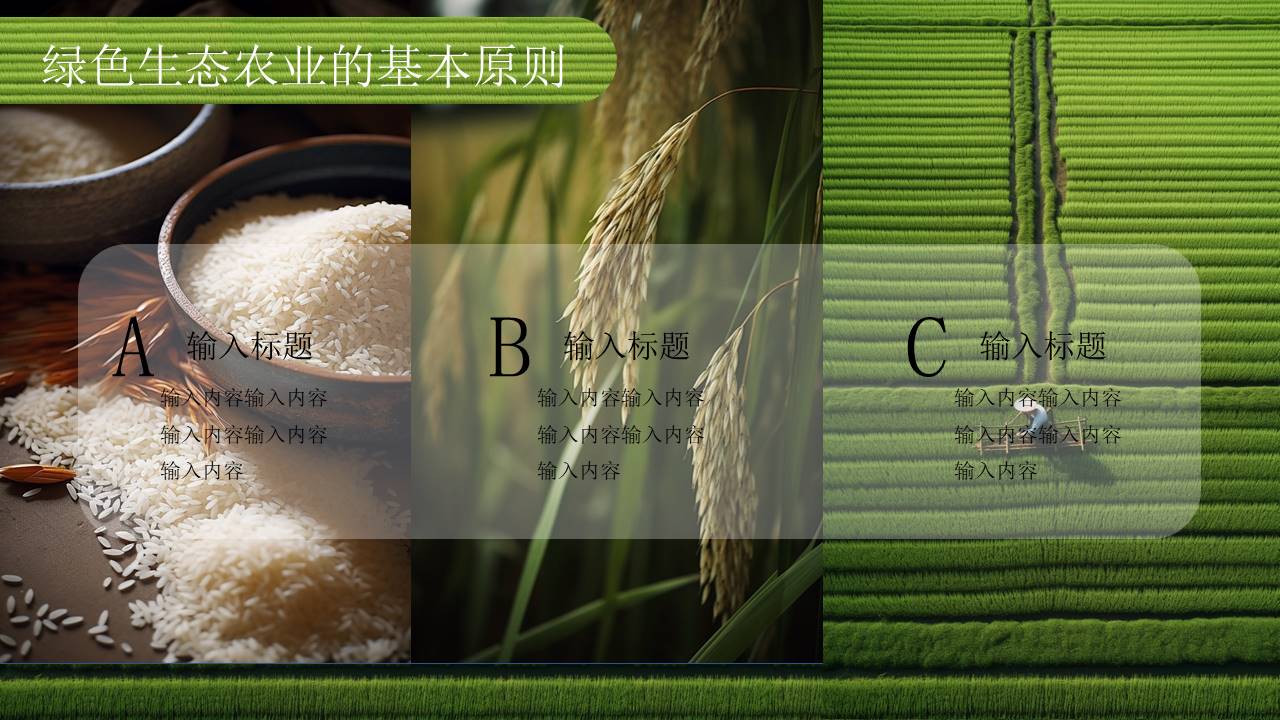 农业 (22).pptx